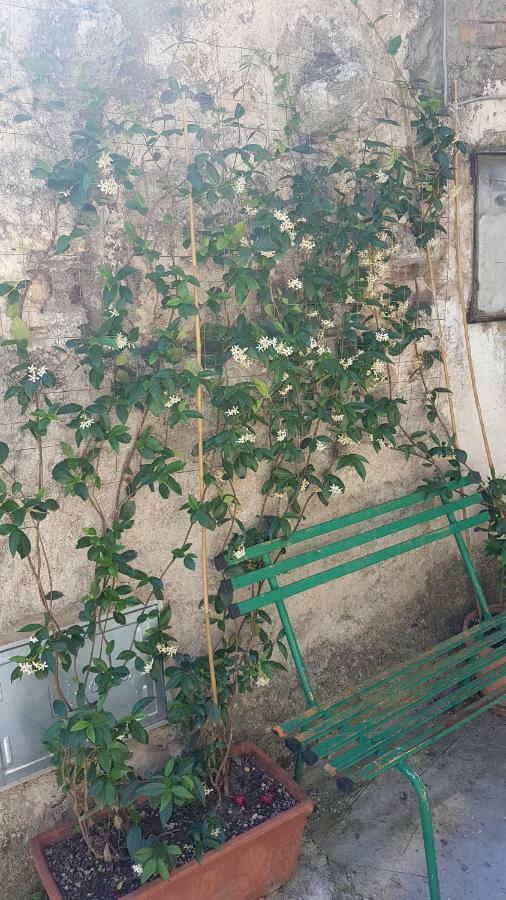 דירות Poggio Bustone La Casetta Del Pellegrino מראה חיצוני תמונה